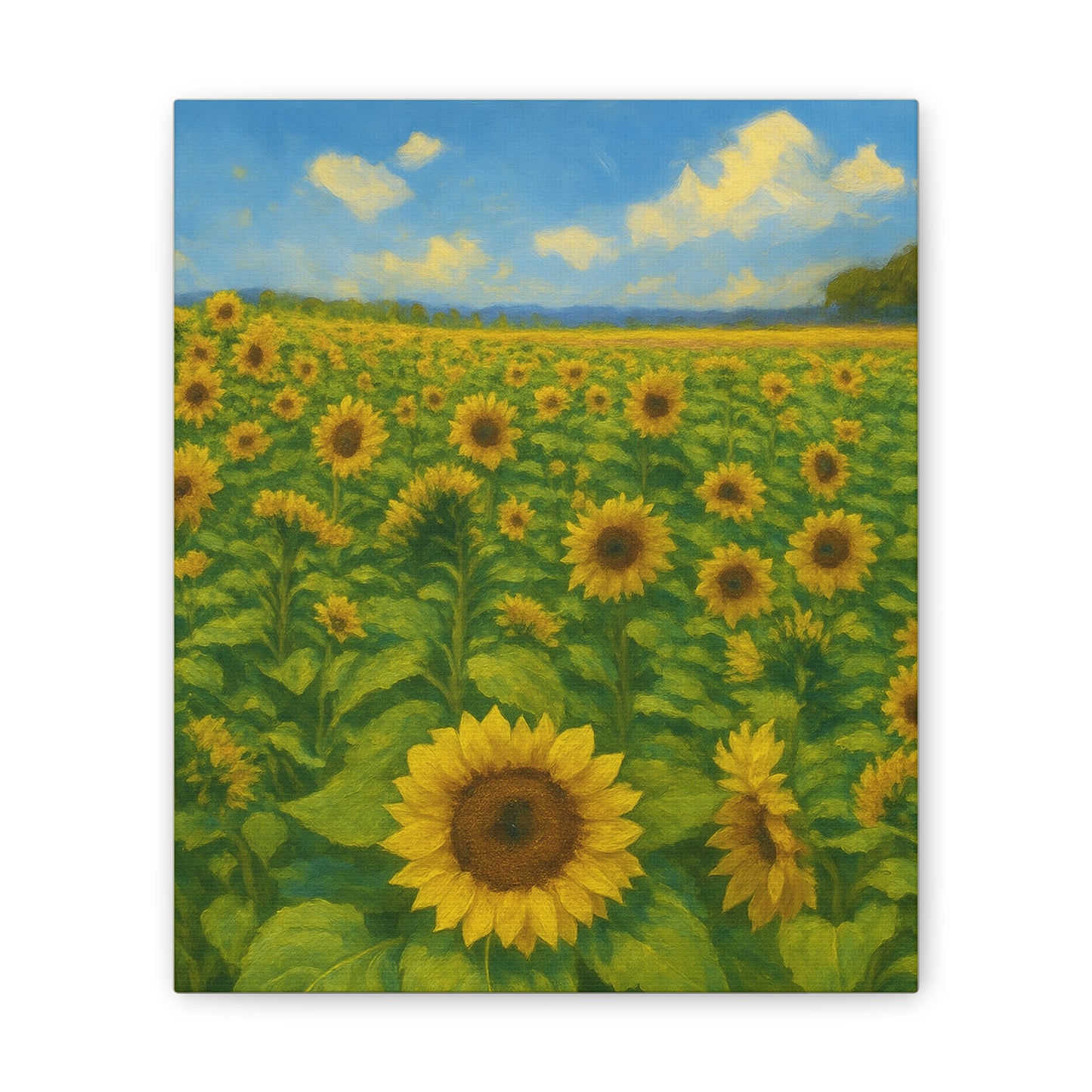 Sunflower Field Canvas Print — Stretched Gallery Wrap Wall Art