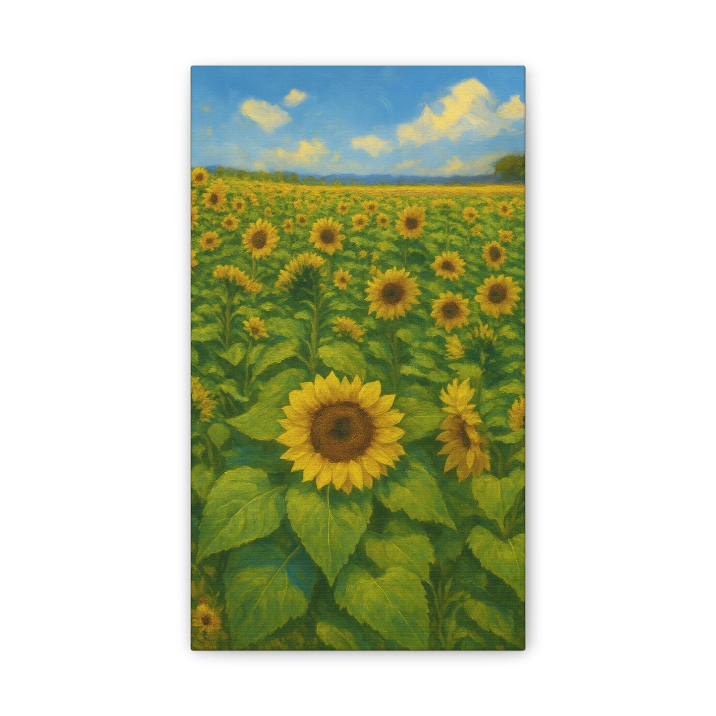 Sunflower Field Canvas Print — Stretched Gallery Wrap Wall Art